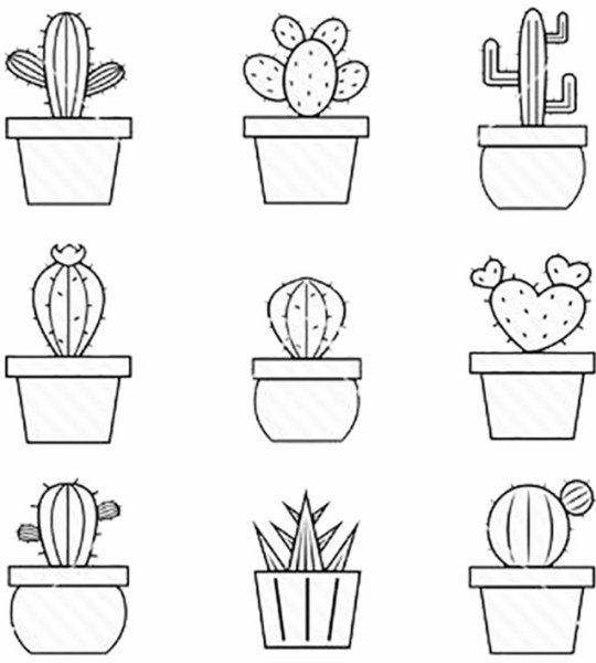 Наклейки черно белые кактусы