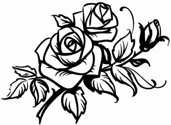 Трафарет розы для тату