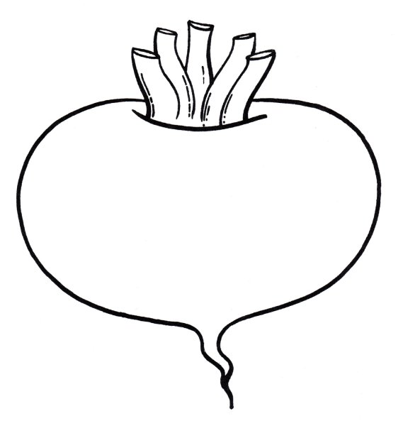 Раскраска Репка из сказки Репка