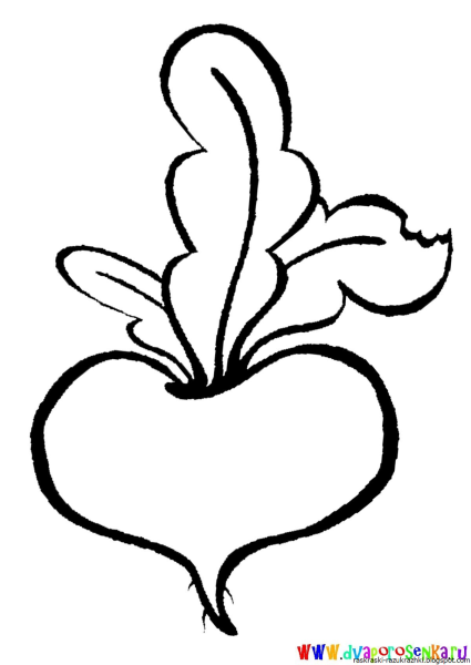 Репа для раскрашивания