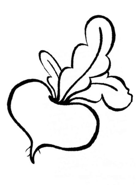 Свекла раскраска для детей