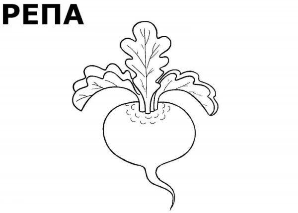 Свекла раскраска