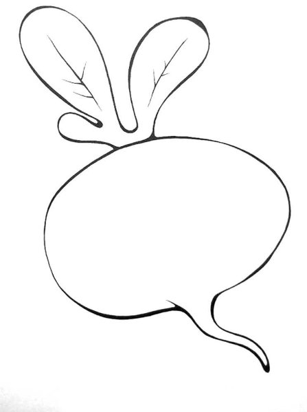 Редиска раскраска для детей