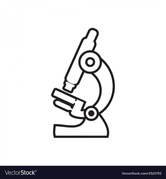 Микроскоп контур