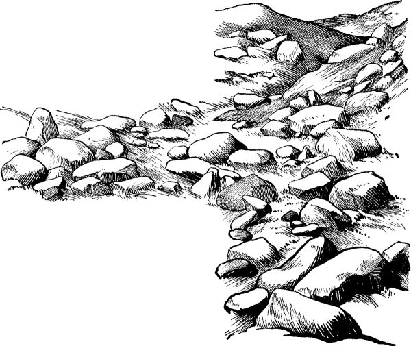 Камень иллюстрация