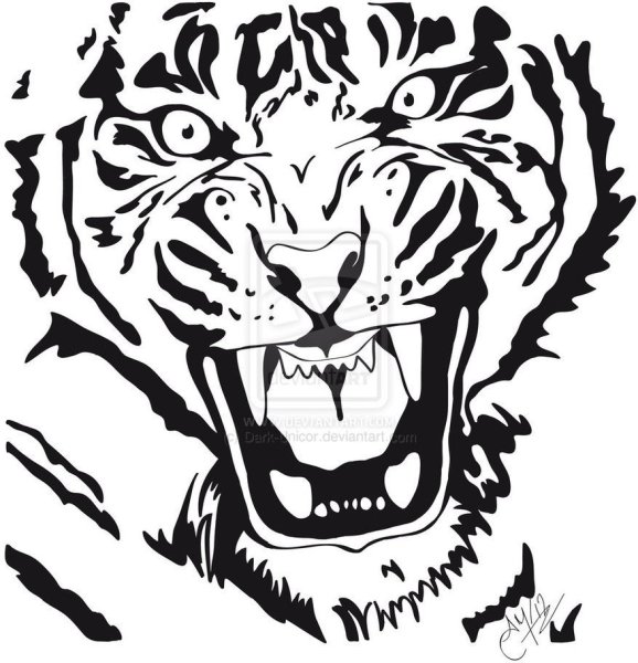 Тигр тату чёрно белые