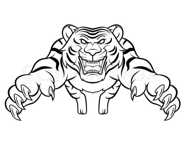 Злой тигр раскраска