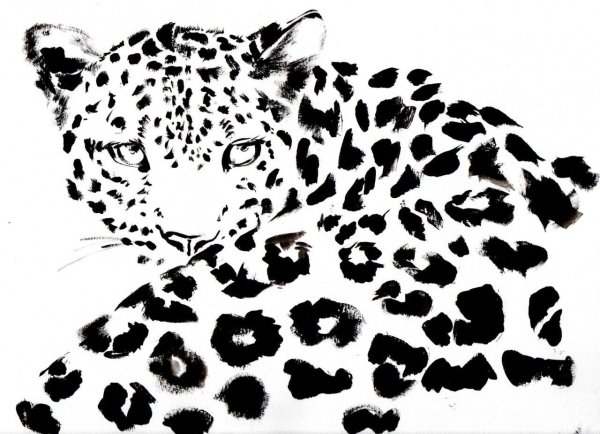 Леопардовый трафарет