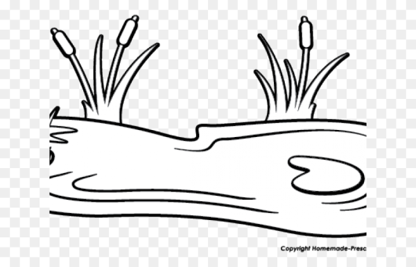 Болото раскраска для детей