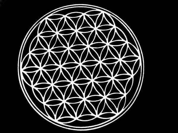 Мандала цветок жизни