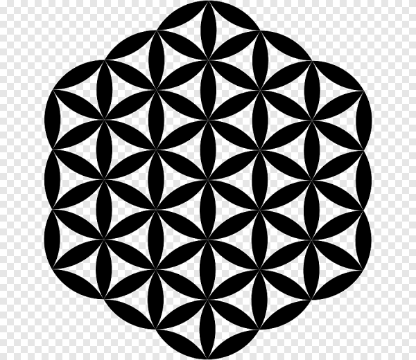 Цветок жизни Сакральная геометрия вектор