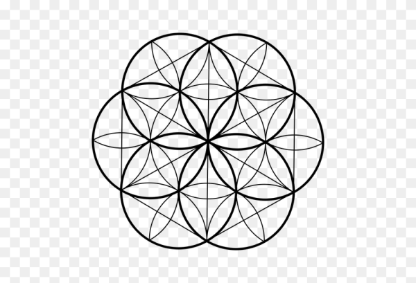 Vesica Piscis цветок жизни