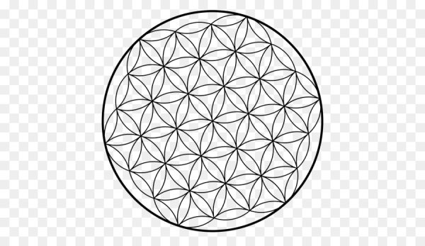 Цветок жизни вектор