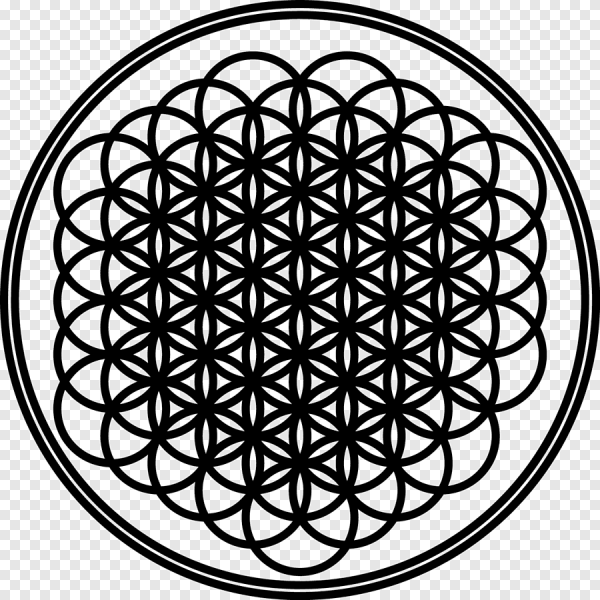 Цветок жизни bmth