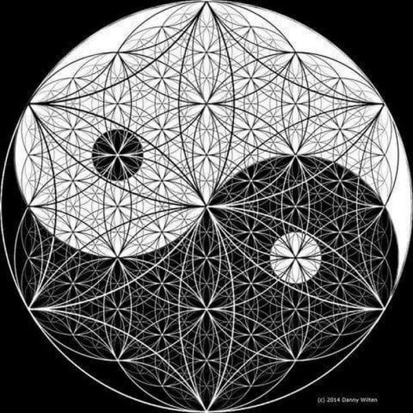 Цветок жизни Инь Янь