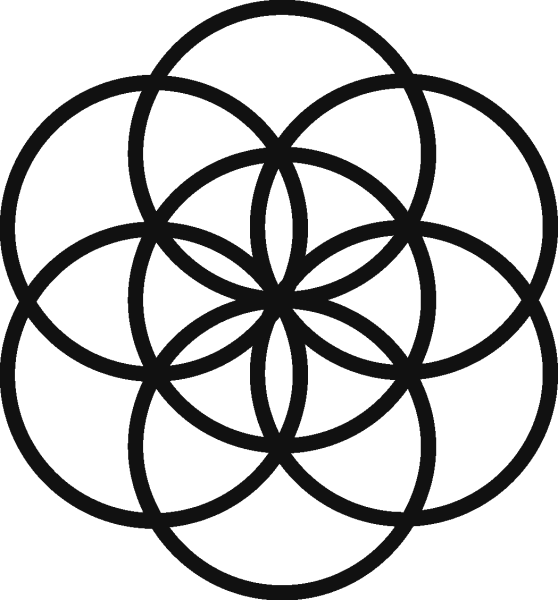 Тор Сакральная геометрия