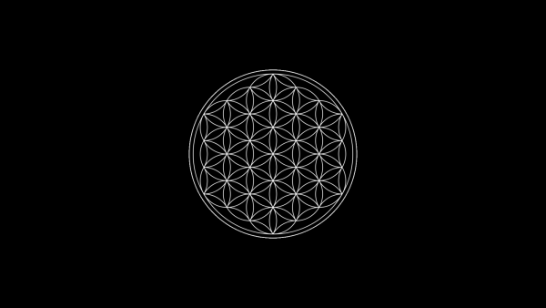 Цветок жизни Сакральная геометрия