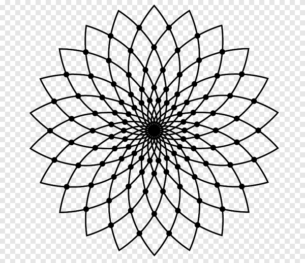 Сакральная геометрия Лотос