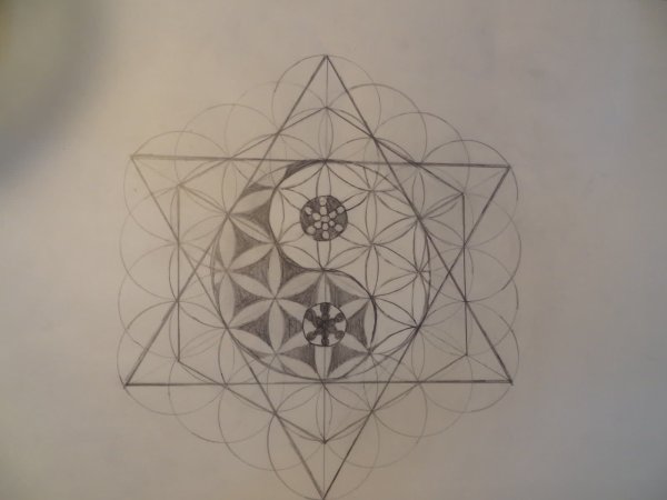 Лотус Сакральная геометрия