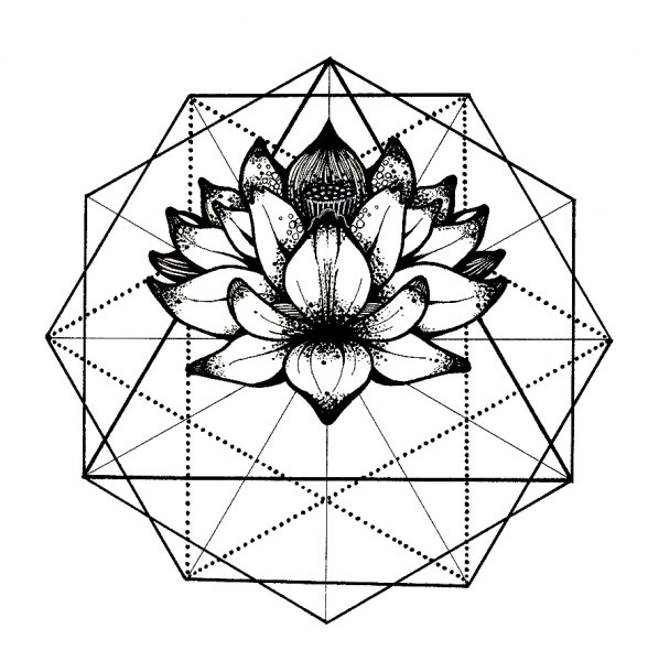 Лотос графический