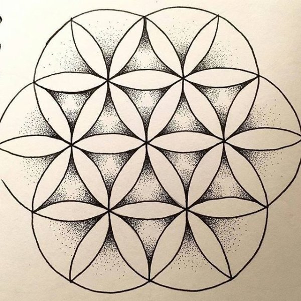 Орнамент цветок жизни