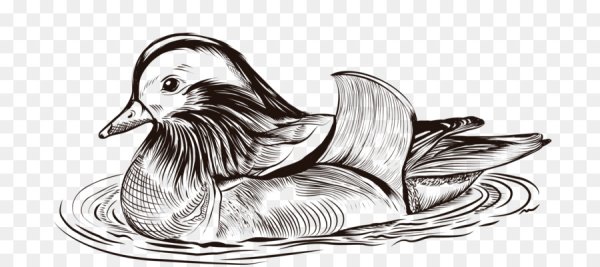 Утка Мандаринка раскраска для детей