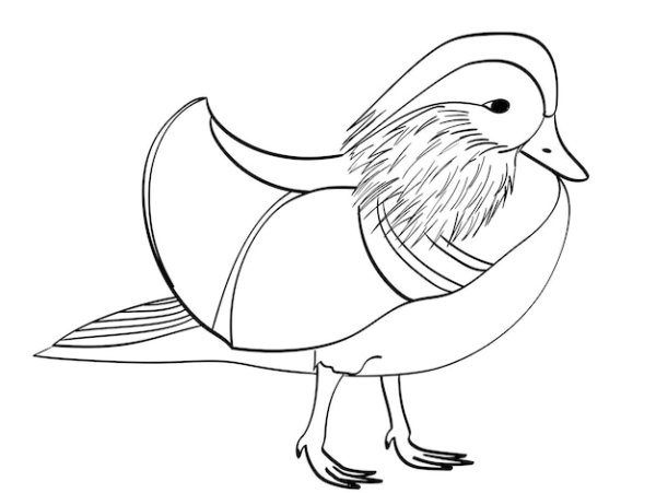 Утка Мандаринка черно белая