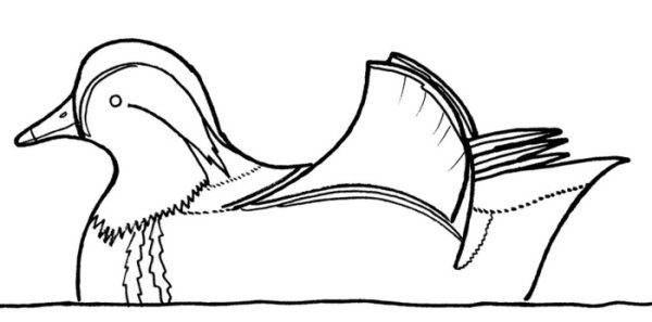 Утка Мандаринка рисовать