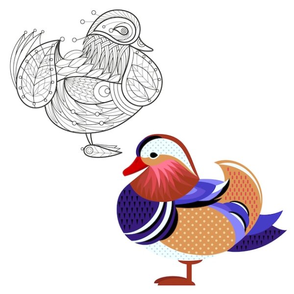 Утка Мандаринка акварелью