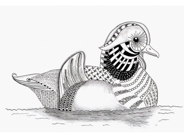 Утка Мандаринка акварелью