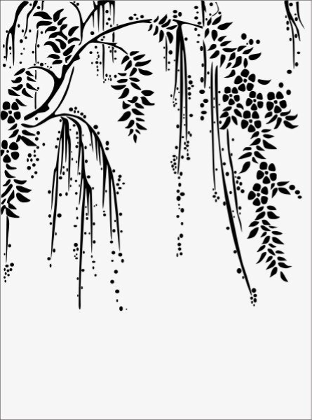 Береза черно белая