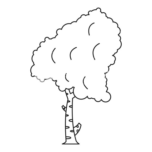 Береза раскраска для детей