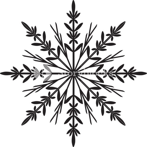 Черная Снежинка