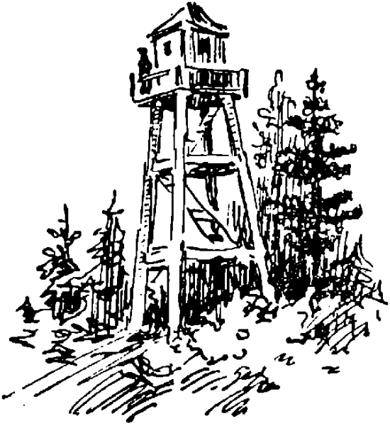 Раскраска вышщка для детей