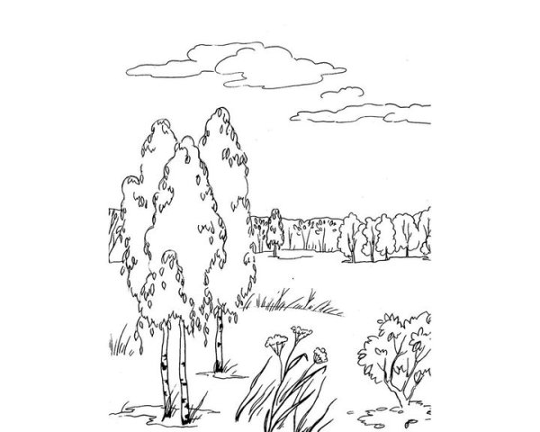 Раскраска природа