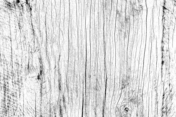 Фактура дерева