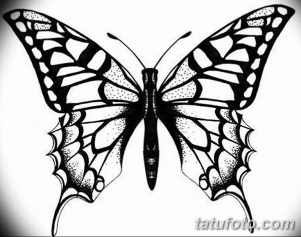 Татуировка бабочка эскиз