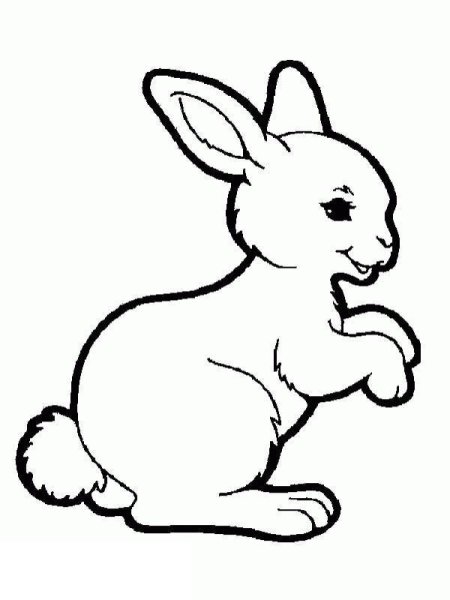 Заяц раскраска для малышей