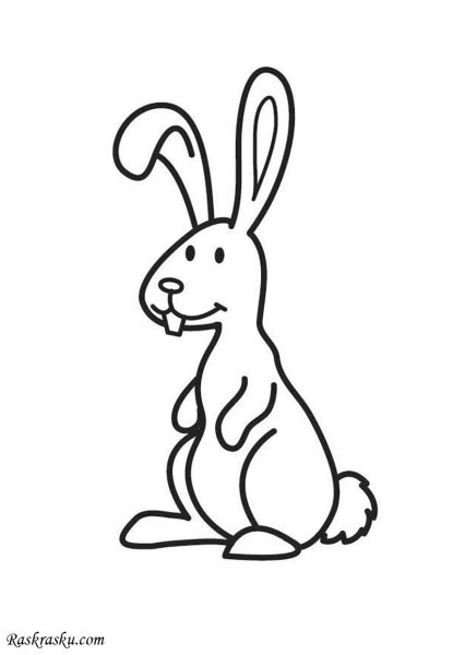 Заяц рисунок карандашом для детей