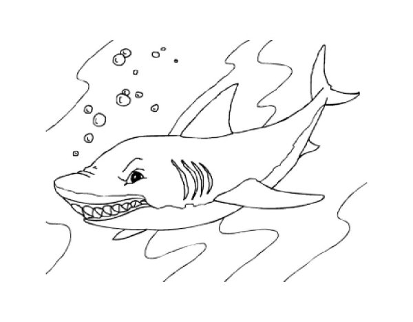Акула раскраска