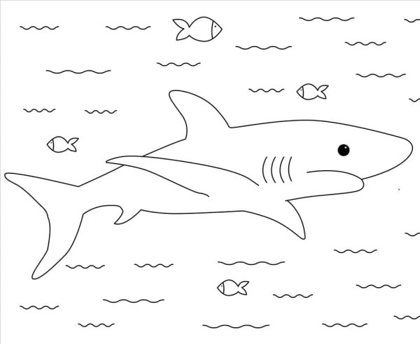 Лев толстой акула раскраска