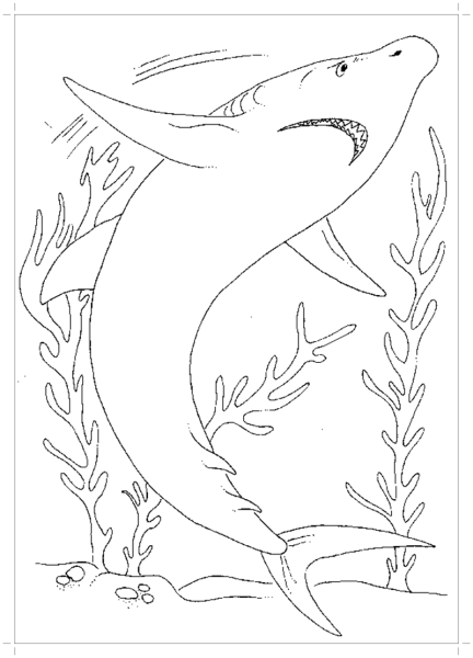 Акула толстой раскраска