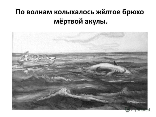 Лев Николаевич толстой акула