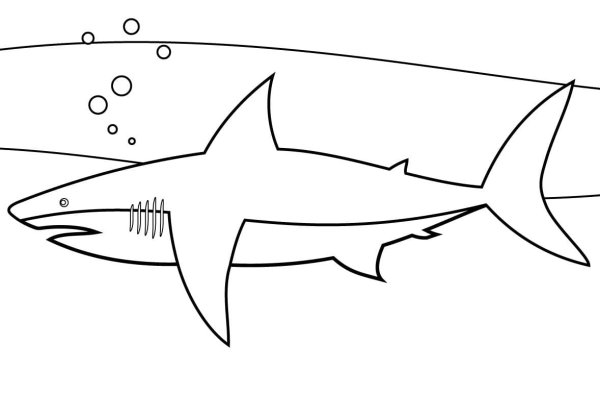 Акула раскраска