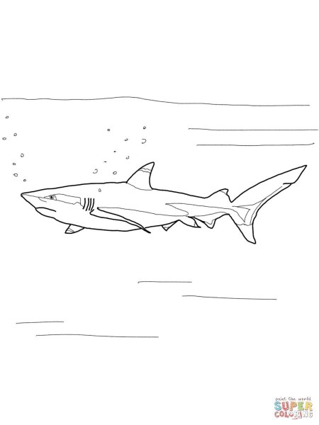 Толстой акула раскраска к рассказу