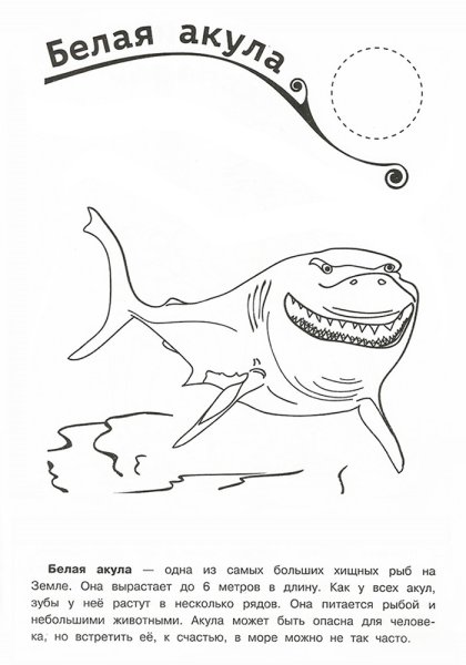 Акула задания для детей