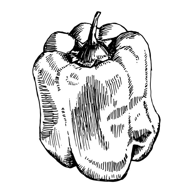 Острый перец раскраска