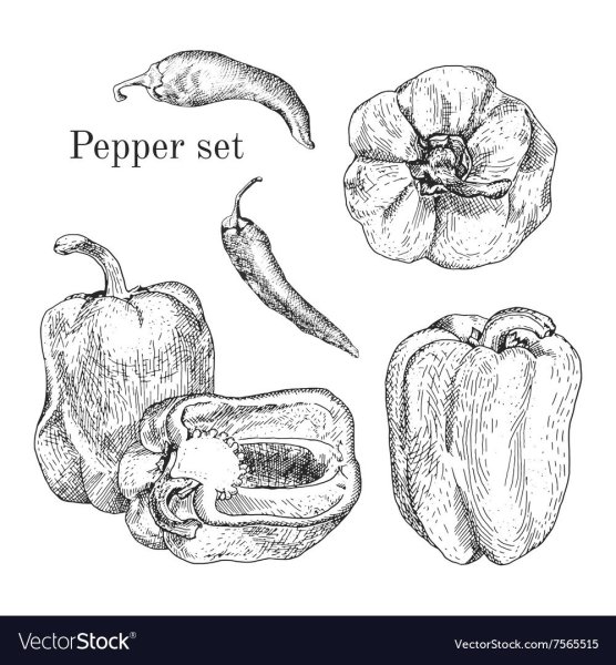 Перец Графика