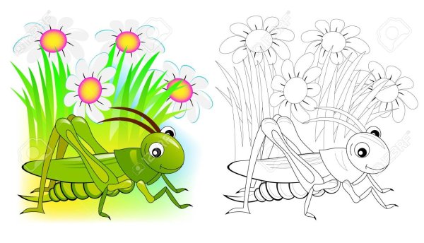 Кузнечик раскраска цветная