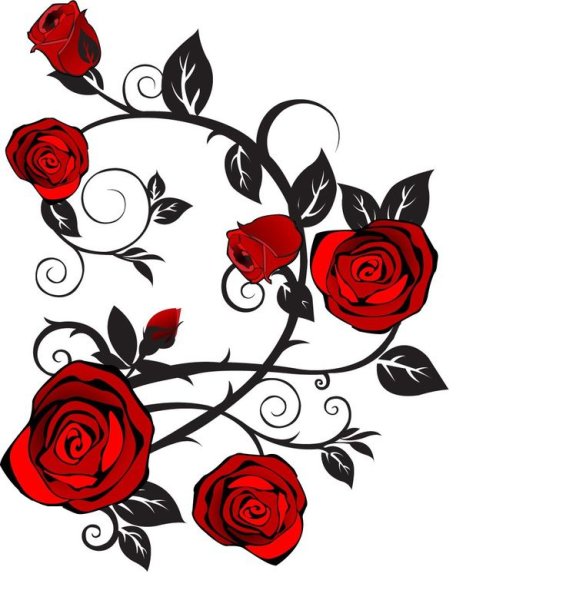 Орнамент розы